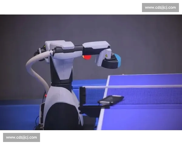 打造全方位体育体验平台 引领未来体育行业发展新潮流